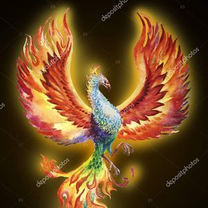 Meet your Posher, Bobbie